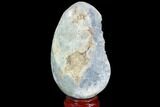 Crystal Filled Celestine (Celestite) Egg Geode - Madagascar #98827-2